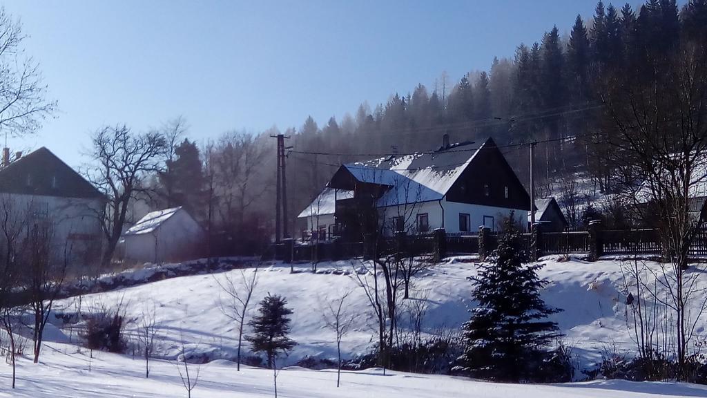 Penzion Edelstejn Petrovice  Экстерьер фото