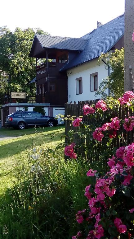 Penzion Edelstejn Petrovice  Экстерьер фото