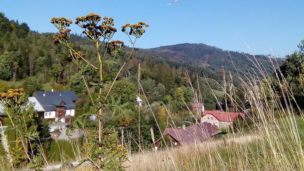 Penzion Edelstejn Petrovice  Экстерьер фото