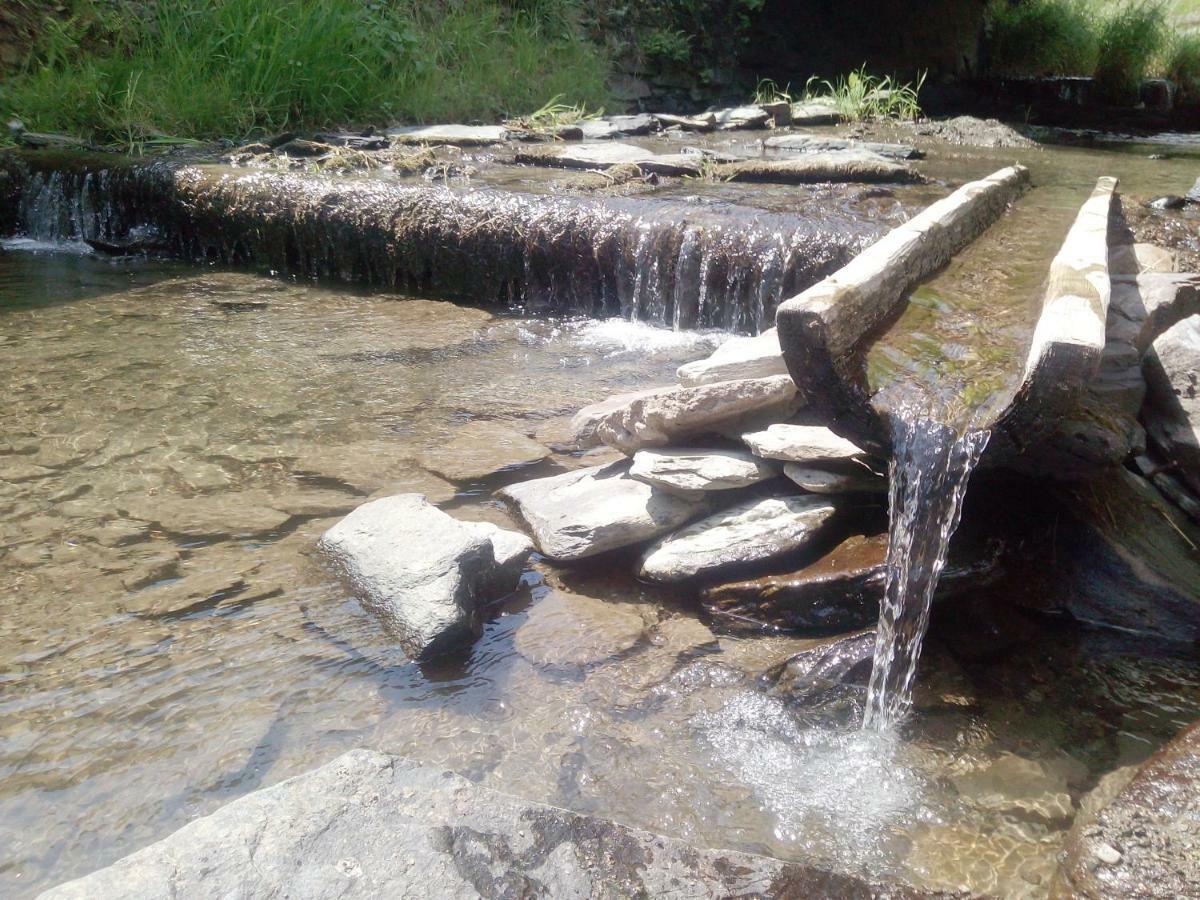 Penzion Edelstejn Petrovice  Экстерьер фото