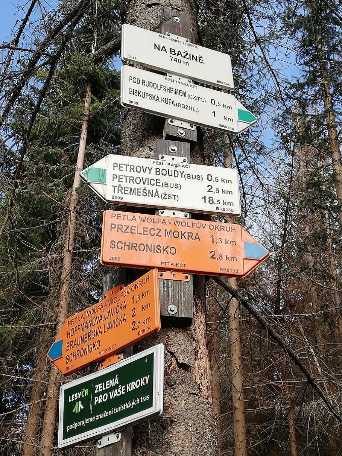 Penzion Edelstejn Petrovice  Экстерьер фото
